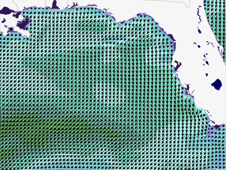 Wave Model Wind Forecast