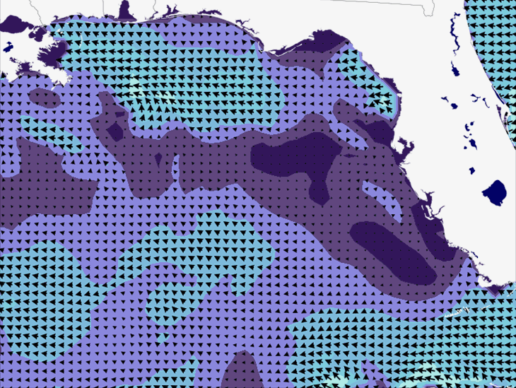 Wave Model Wind Forecast