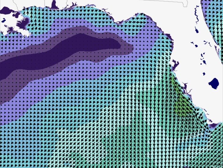 Wave Model Wind Forecast