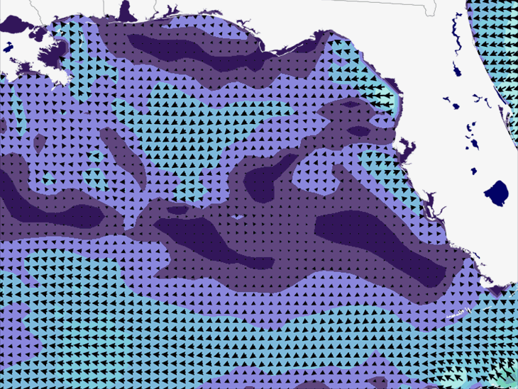 Wave Model Wind Forecast