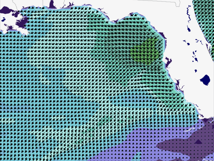 Wave Model Wind Forecast
