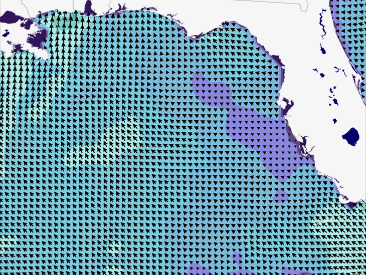 Wave Model Wind Forecast
