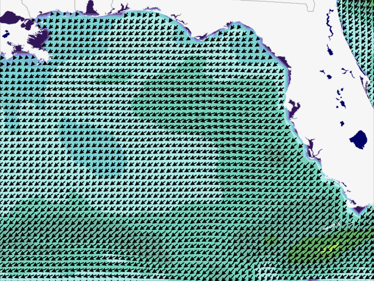 Wave Model Wind Forecast