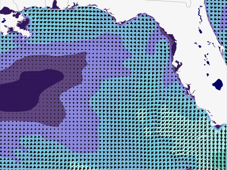Wave Model Wind Forecast