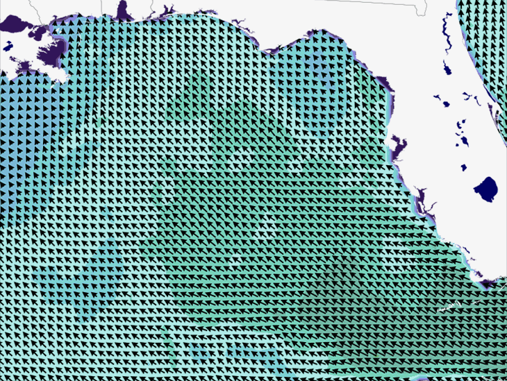 Wave Model Wind Forecast