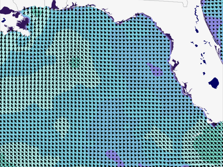 Wave Model Wind Forecast