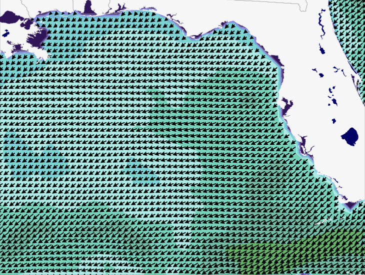 Wave Model Wind Forecast