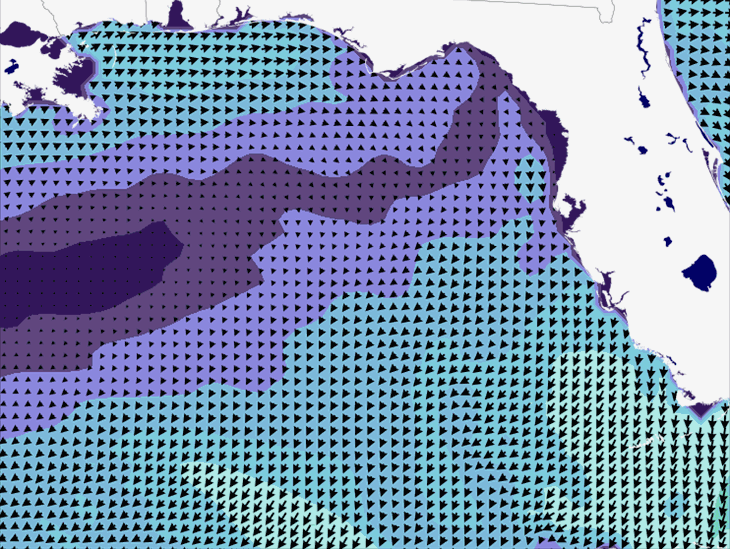 Wave Model Wind Forecast