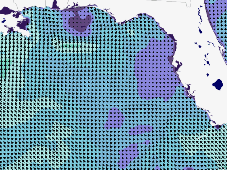 Wave Model Wind Forecast
