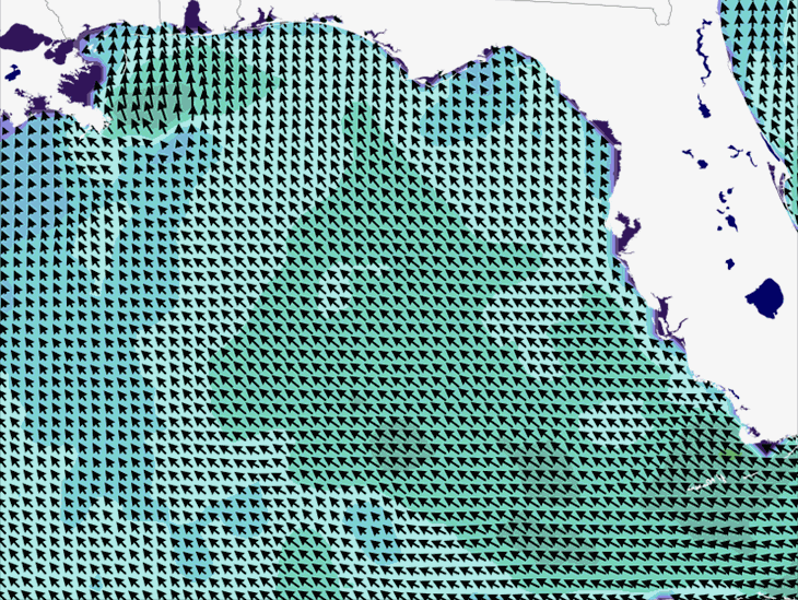 Wave Model Wind Forecast