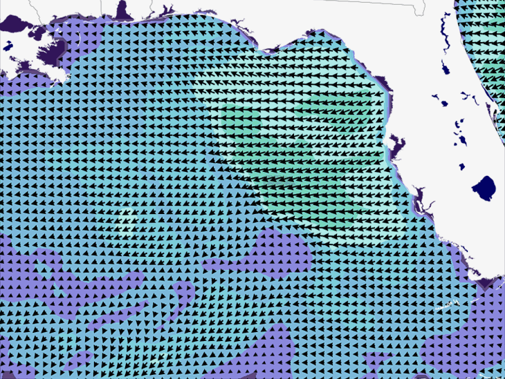 Wave Model Wind Forecast
