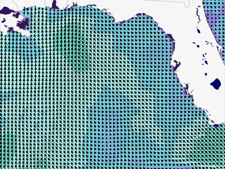 Wave Model Wind Forecast