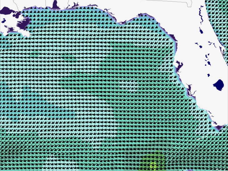 Wave Model Wind Forecast