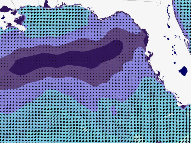 Wave Model Wind Forecast