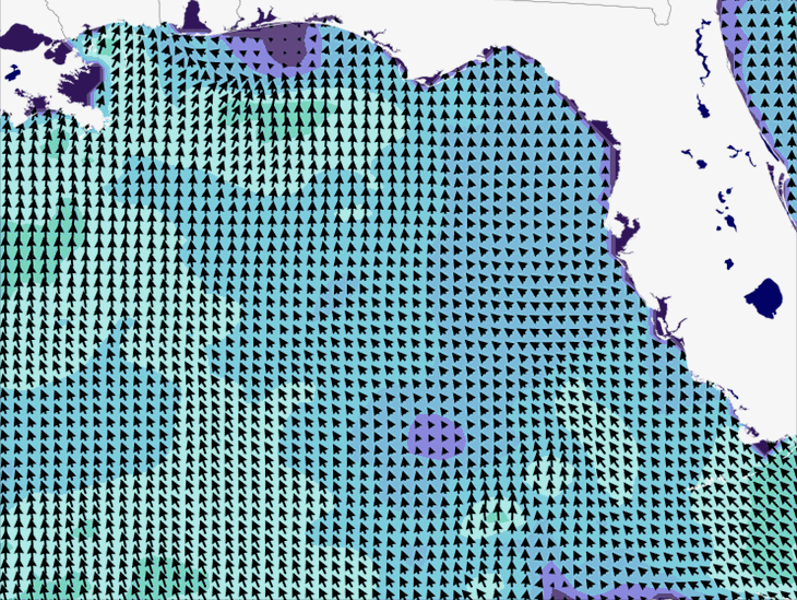 Wave Model Wind Forecast