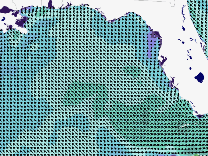 Wave Model Wind Forecast