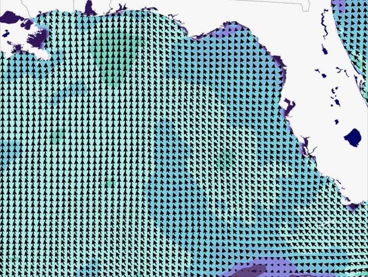 Wave Model Wind Forecast