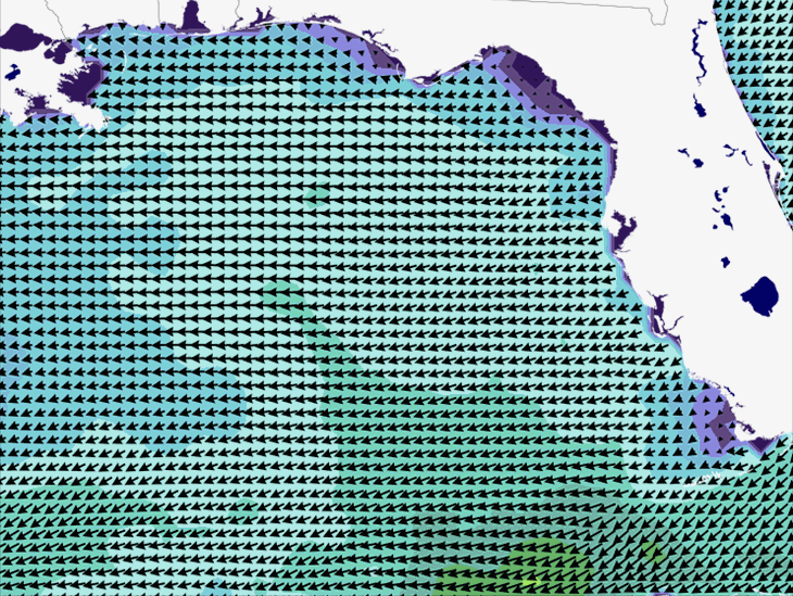 Wave Model Wind Forecast