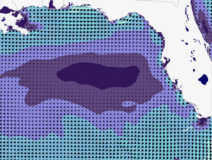 Wave Model Wind Forecast