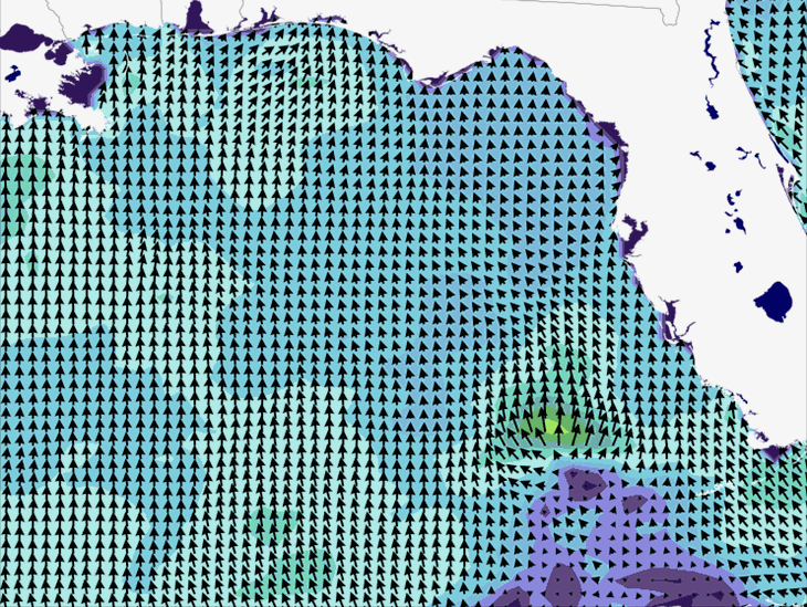 Wave Model Wind Forecast