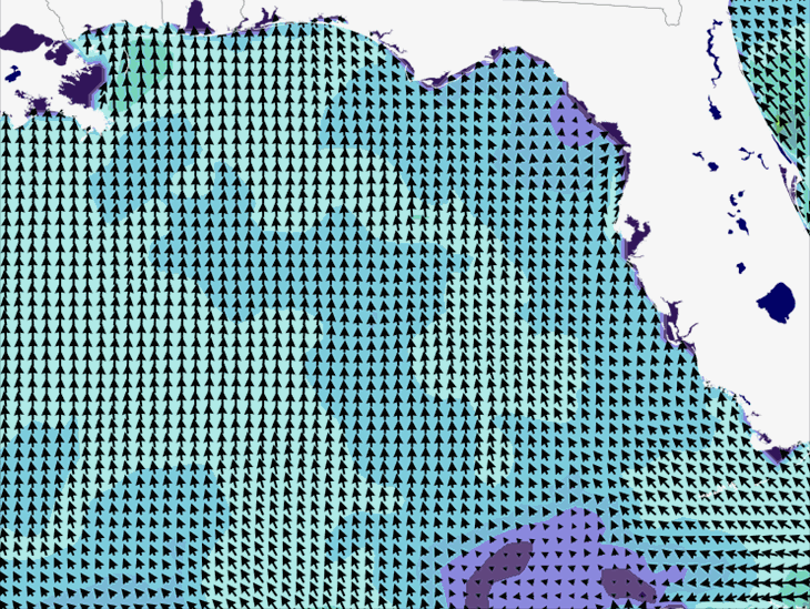 Wave Model Wind Forecast