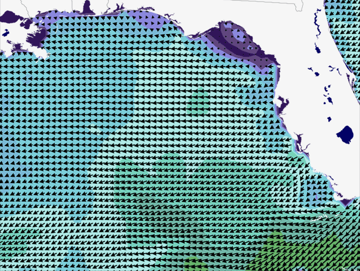 Wave Model Wind Forecast
