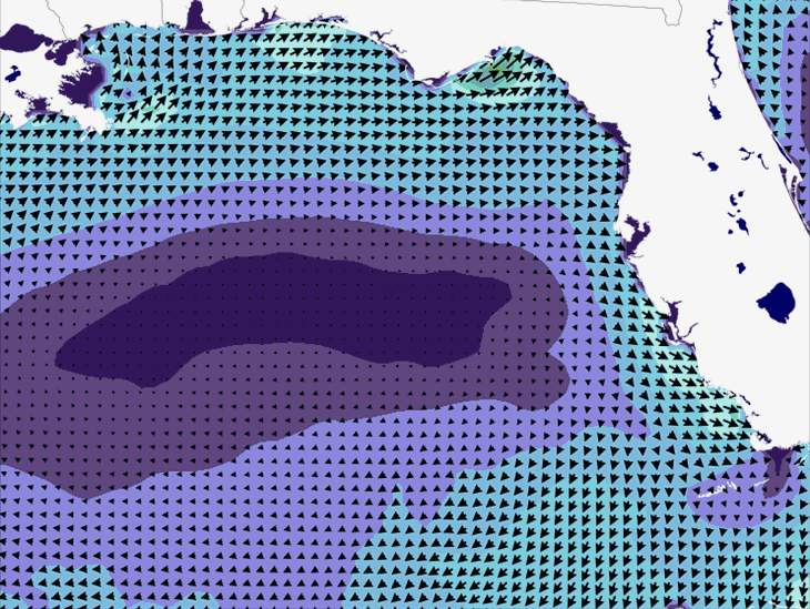 Wave Model Wind Forecast