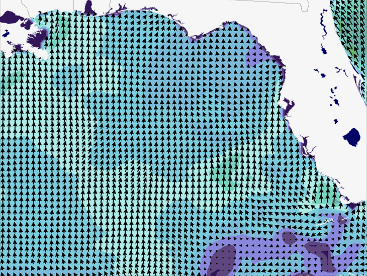 Wave Model Wind Forecast