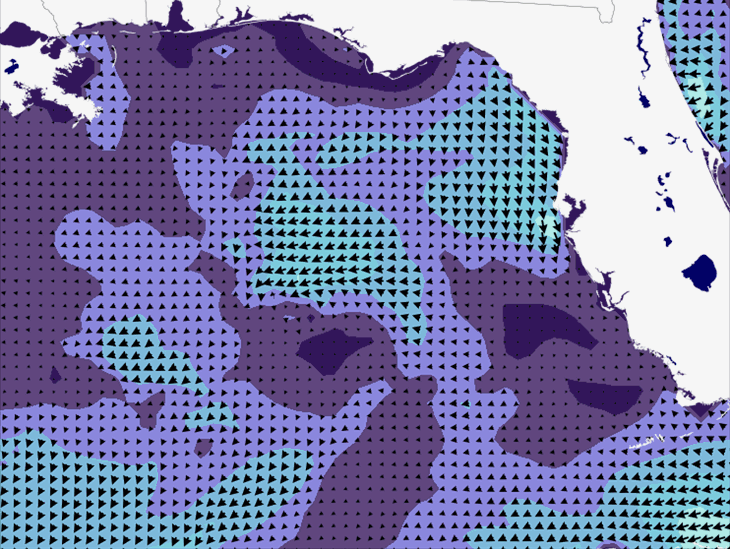 Wave Model Wind Forecast