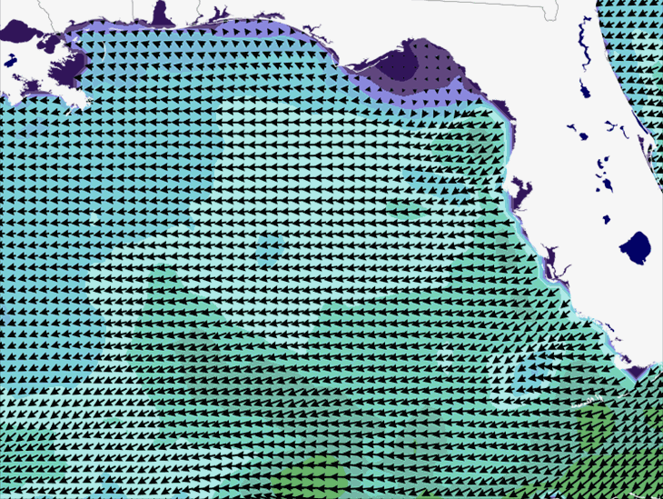 Wave Model Wind Forecast