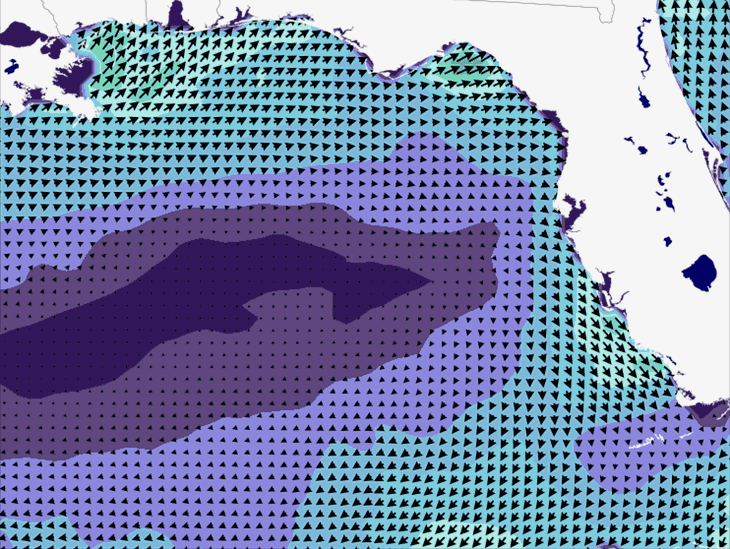 Wave Model Wind Forecast