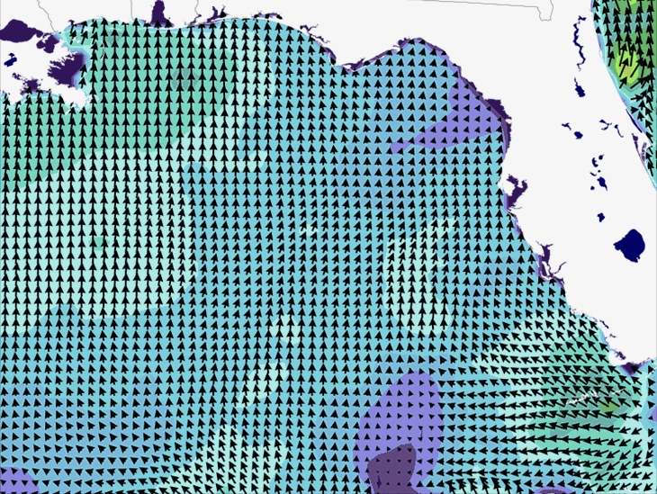 Wave Model Wind Forecast