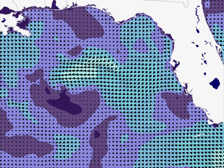 Wave Model Wind Forecast