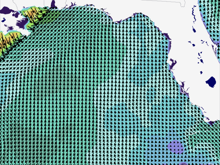 Wave Model Wind Forecast