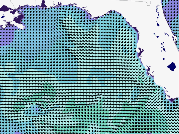 Wave Model Wind Forecast