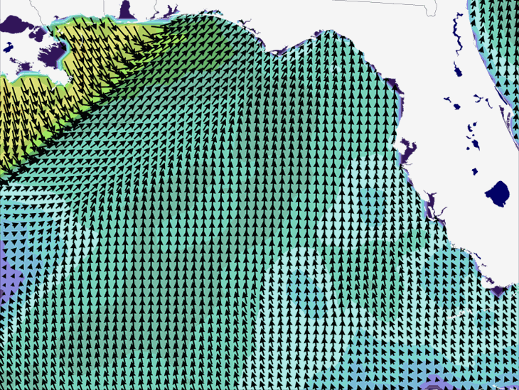 Wave Model Wind Forecast