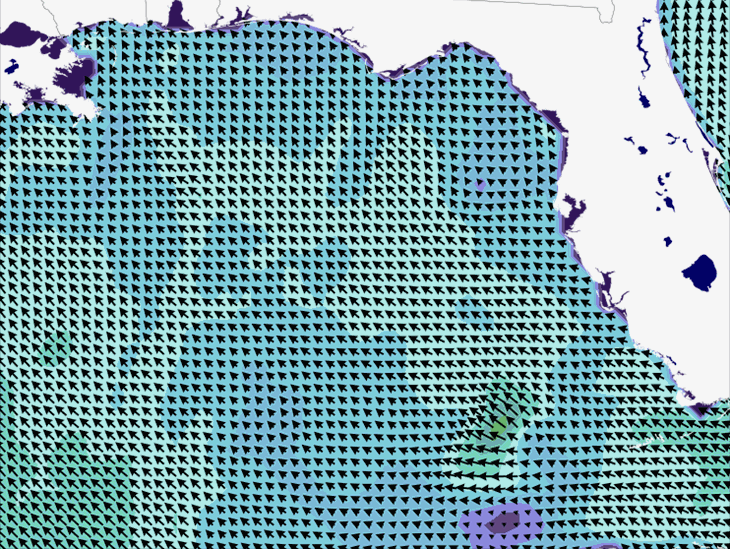 Wave Model Wind Forecast