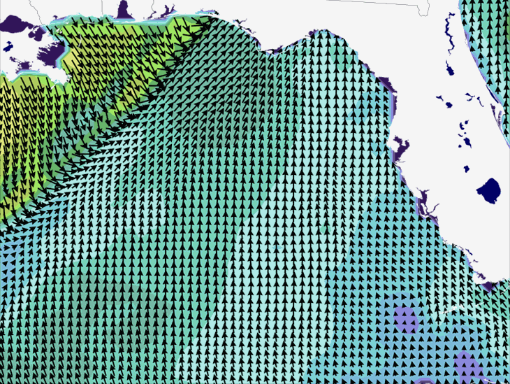Wave Model Wind Forecast