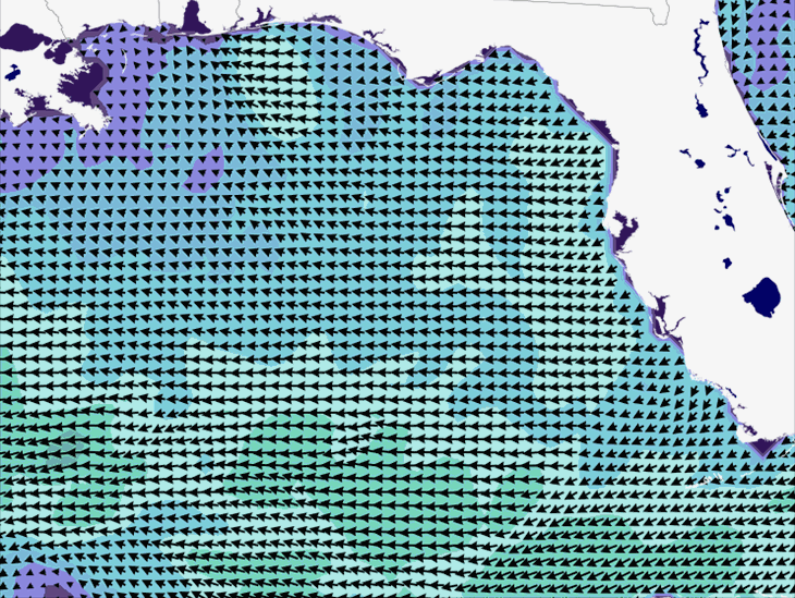 Wave Model Wind Forecast
