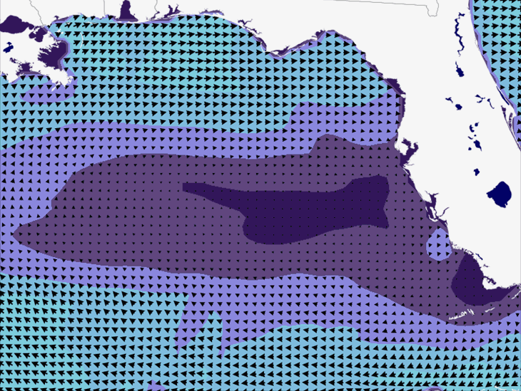 Wave Model Wind Forecast
