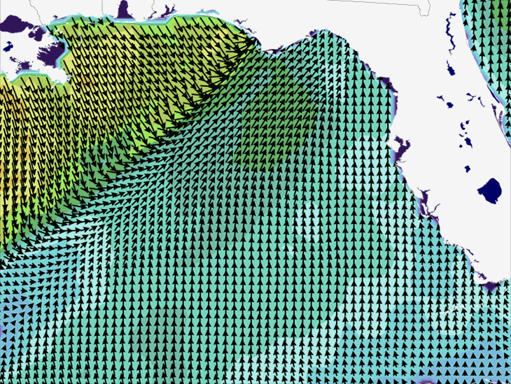 Wave Model Wind Forecast