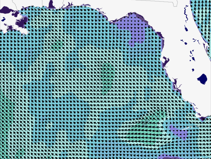 Wave Model Wind Forecast