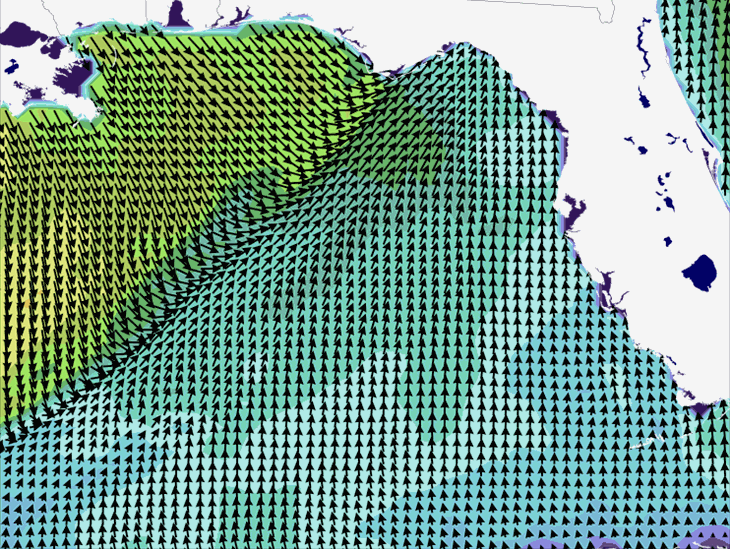Wave Model Wind Forecast