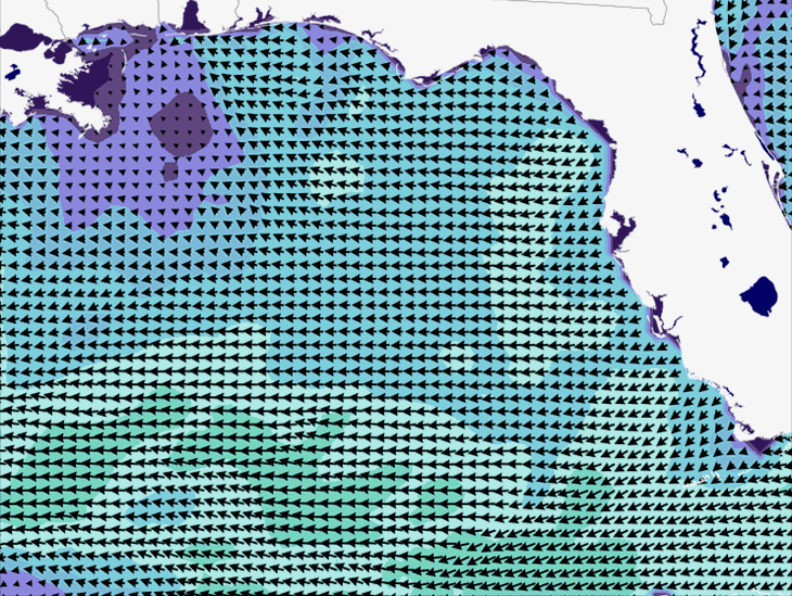 Wave Model Wind Forecast