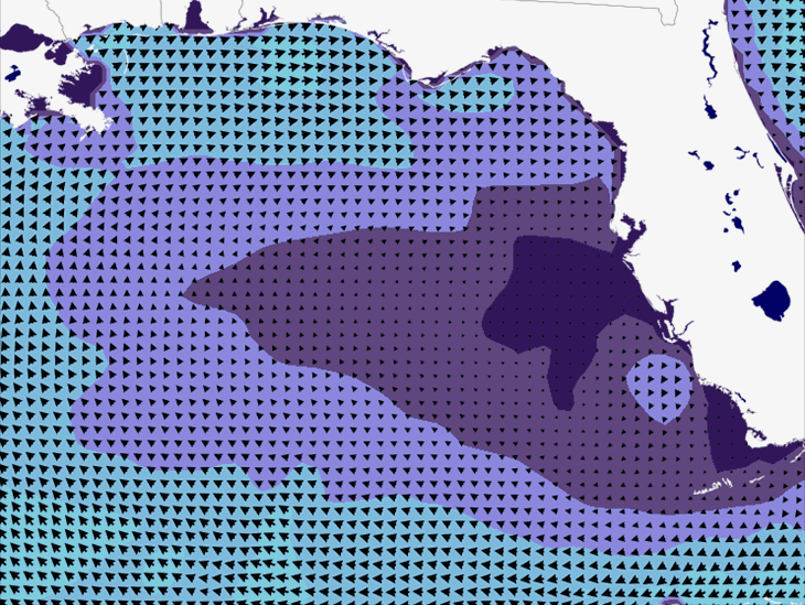 Wave Model Wind Forecast