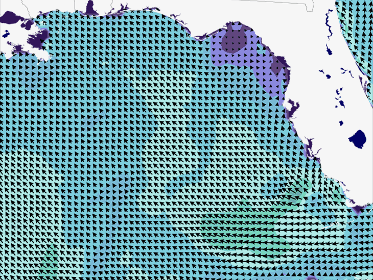 Wave Model Wind Forecast