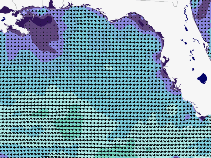Wave Model Wind Forecast