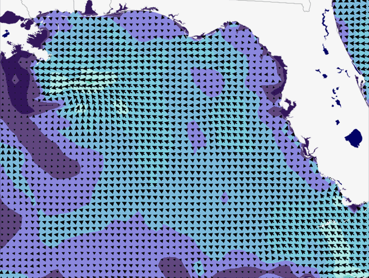 Wave Model Wind Forecast