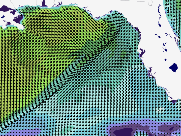 Wave Model Wind Forecast
