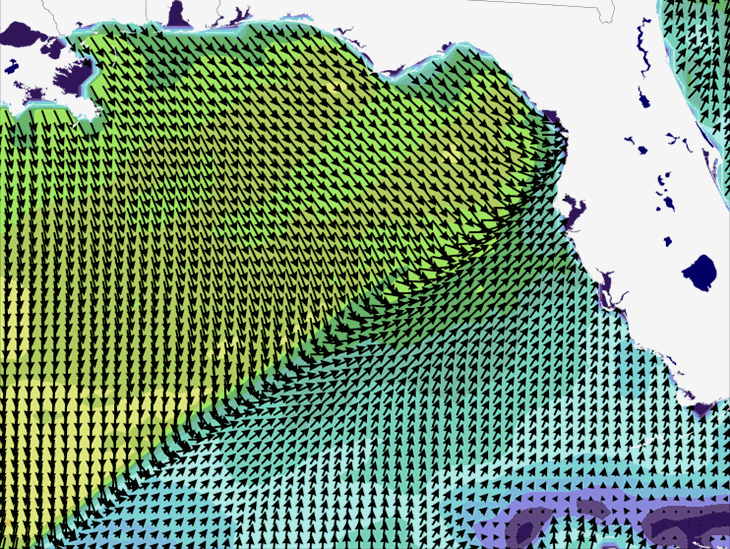 Wave Model Wind Forecast